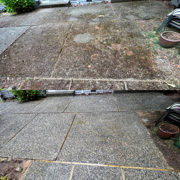 Mossy Patio Cleaning in Bellevue, WA