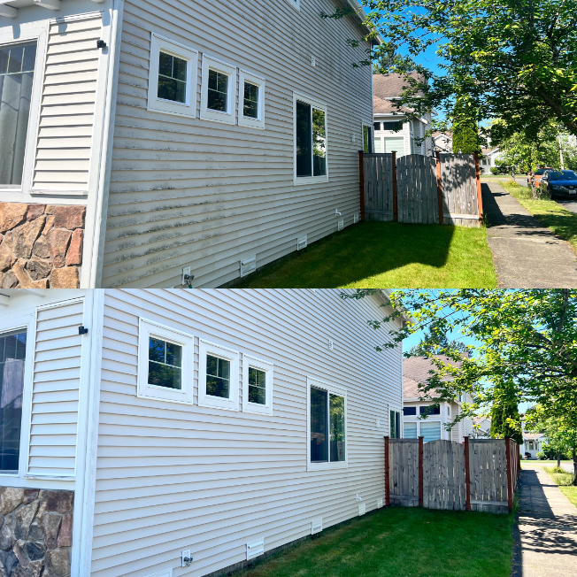 Roof cleaning maple valley (1)