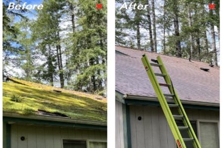 Roof Cleaning in Shelton, WA