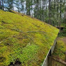 roof cleaning in shelton, wa 4