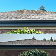 5,000 Sqft Roof Cleaning 5