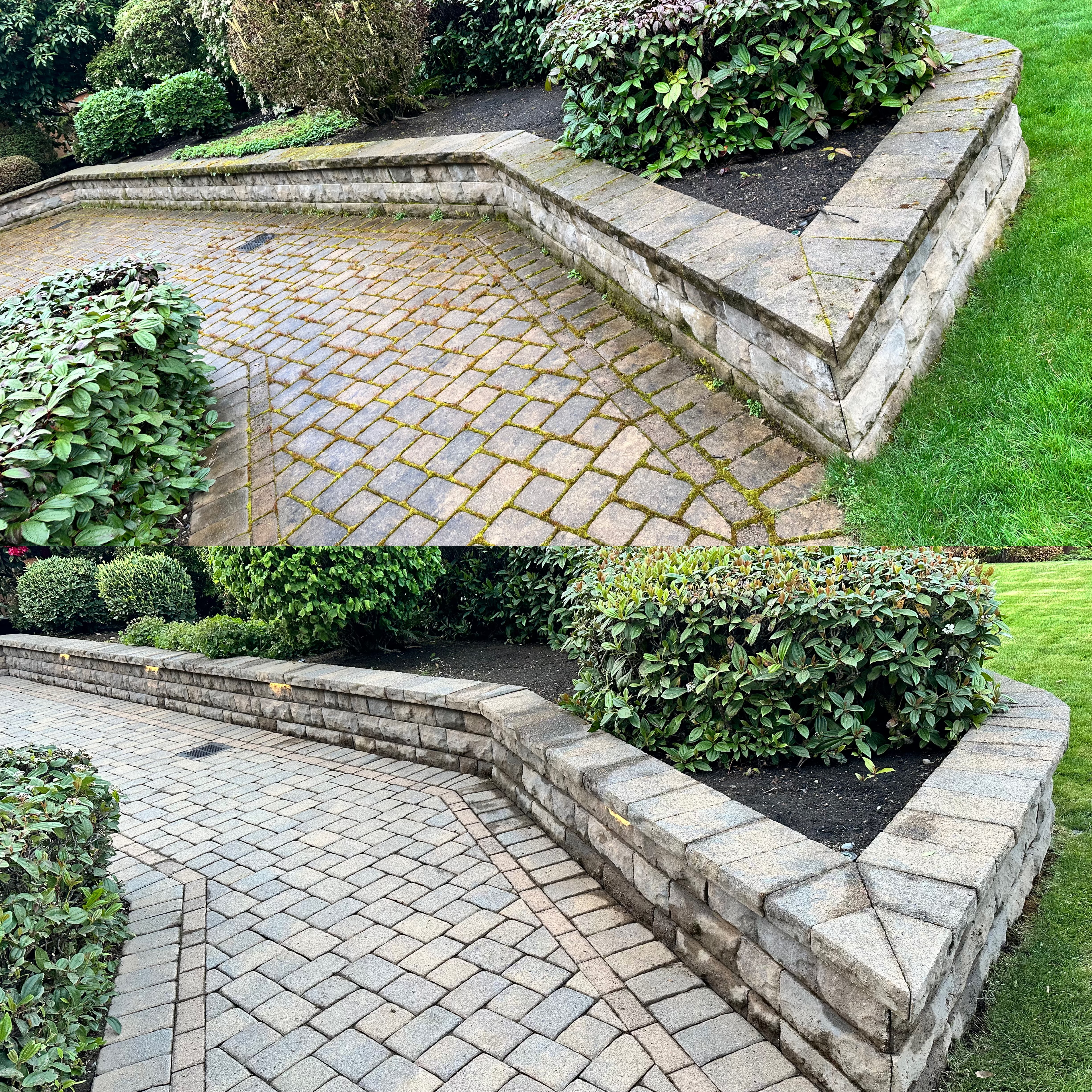 Exemplary Paver Cleaning in Bellevue, Washington: Masterful Moss Removal and Precision Pressure Washing