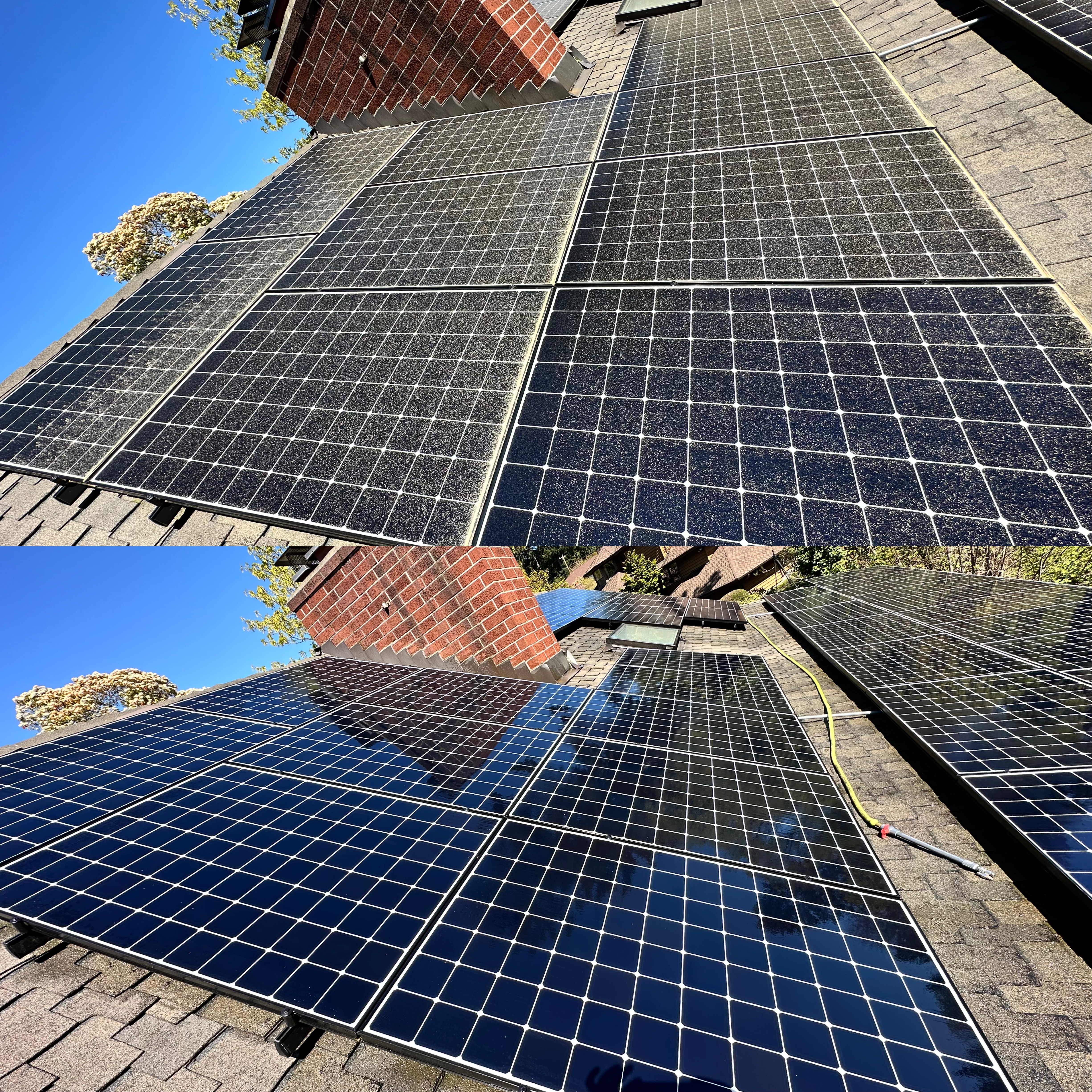 Premier Solar Panel Cleaning performed in Redmond Washington