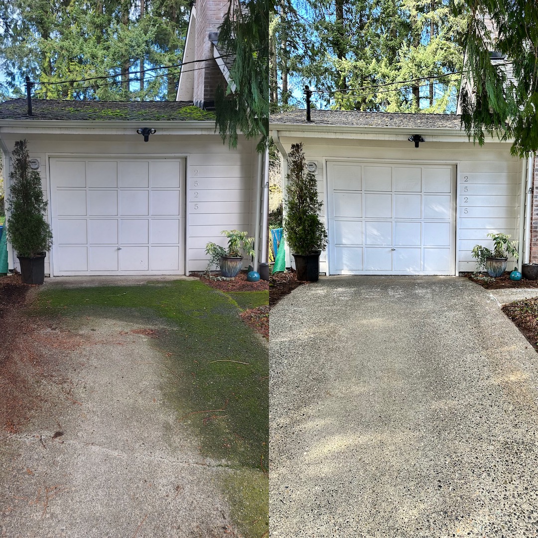 Roof, Deck, and Driveway Cleaning in Bellevue, WA