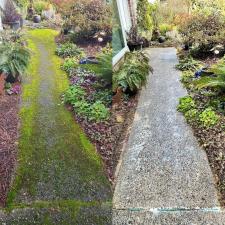 Roof-Deck-and-Driveway-Cleaning-in-Bellevue-WA 1